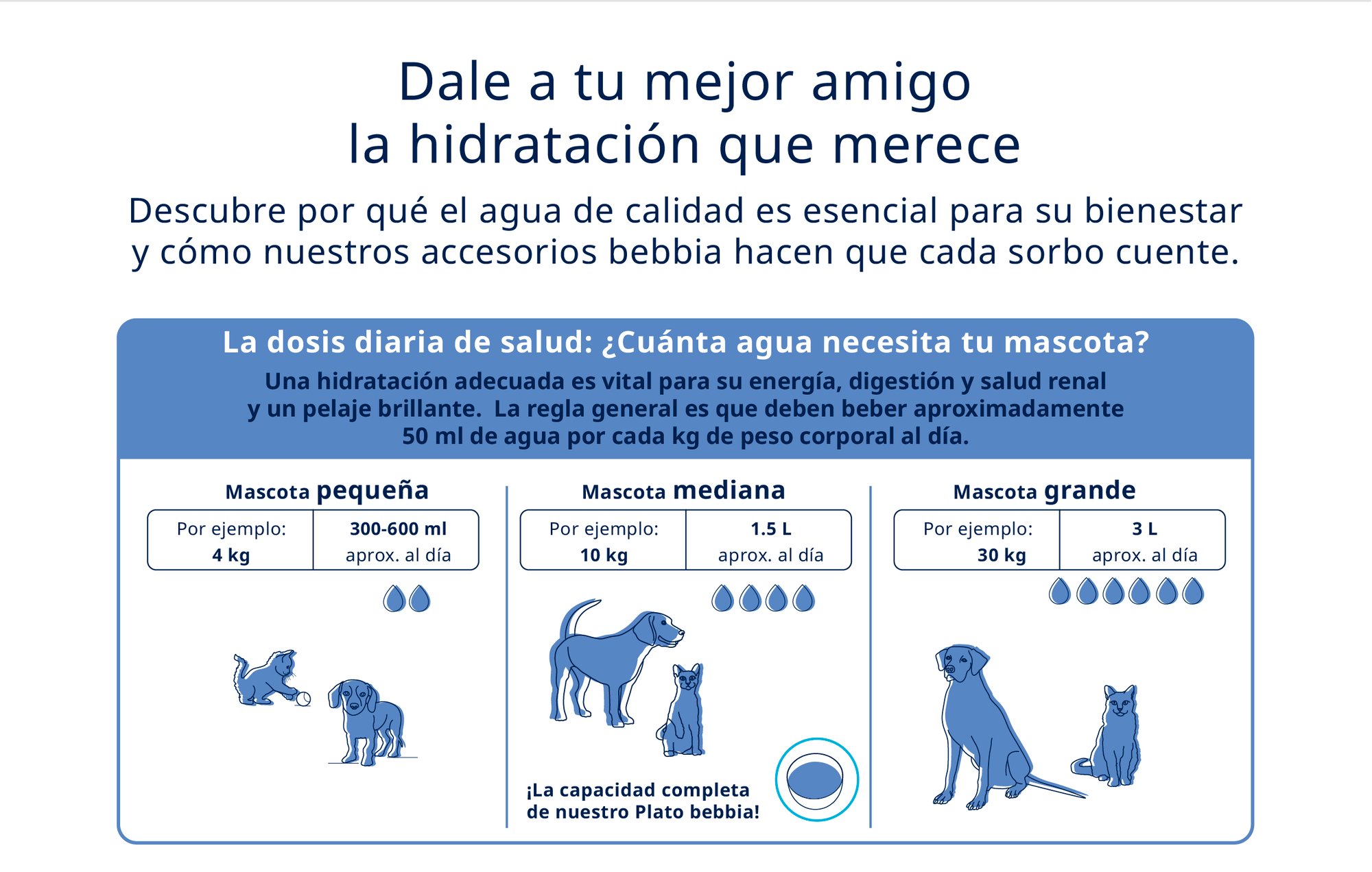 4_Info hidratacion (1)