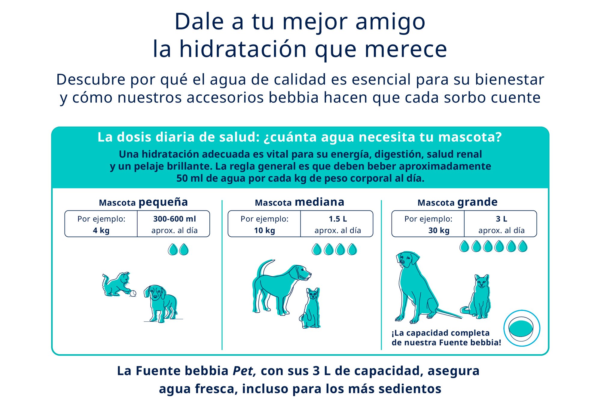 4_Info hidratacion (2)