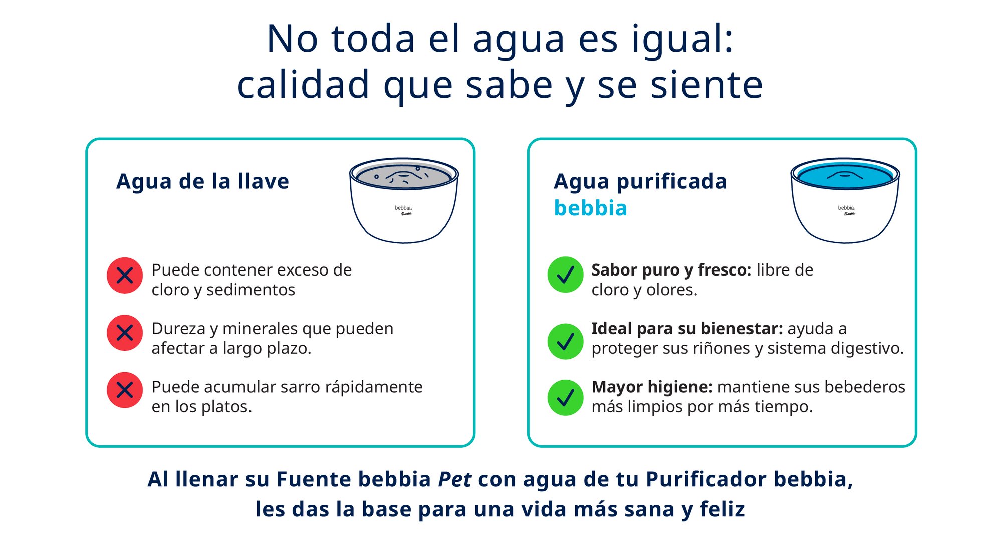 5_No toda el agua 5_No toda el agua