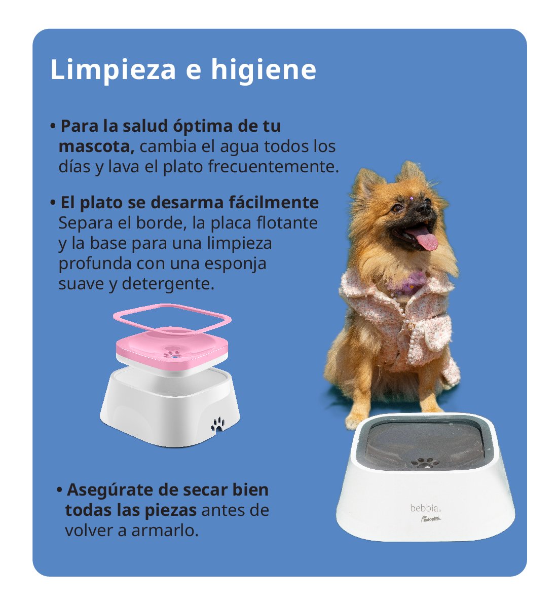 7_Imagen boton primario 7_Imagen boton primario