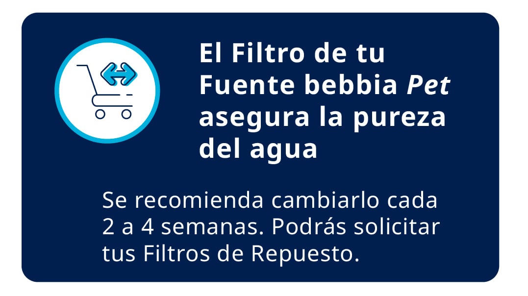 7_Texto boton principal 7_Texto boton principal