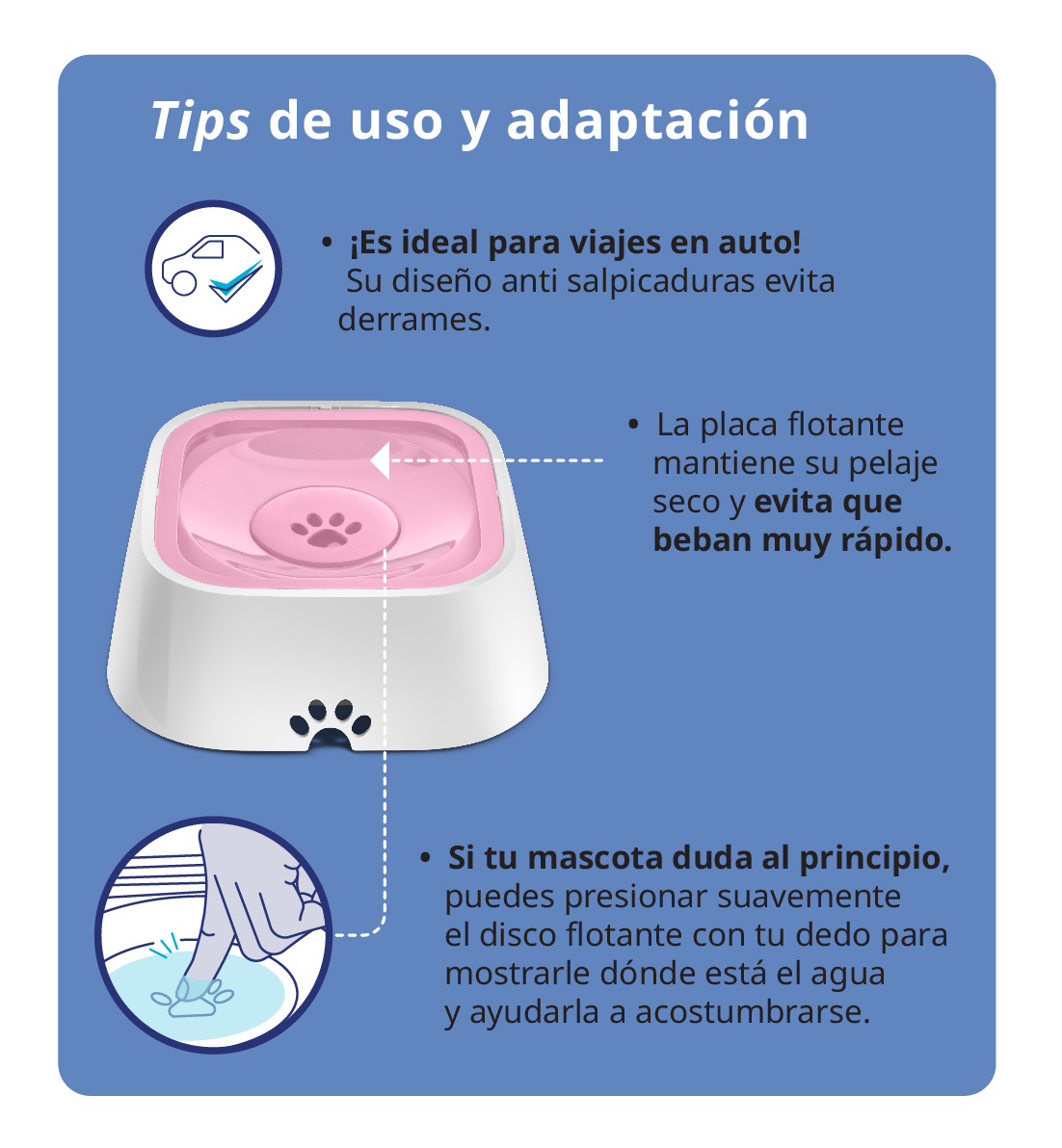 8_Imagen boton secundario 8_Imagen boton secundario