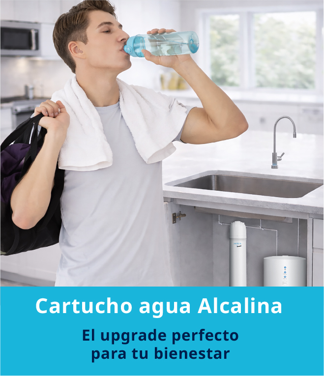 Portada CartAlcal_v2