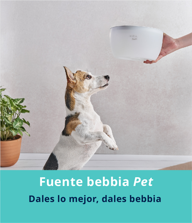 Portada Fuente_v2