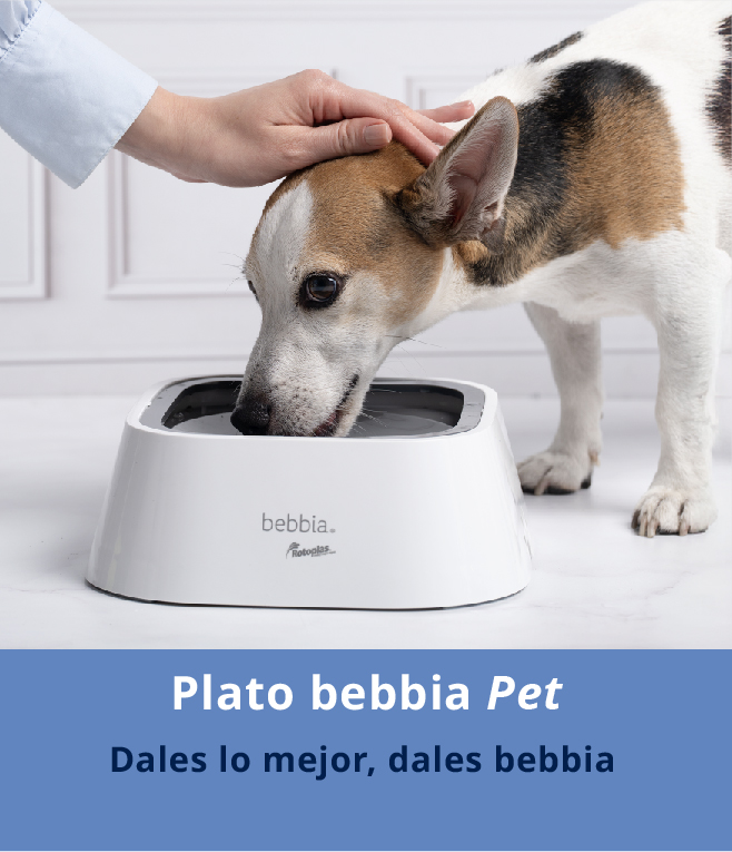 Portada Plato_v2